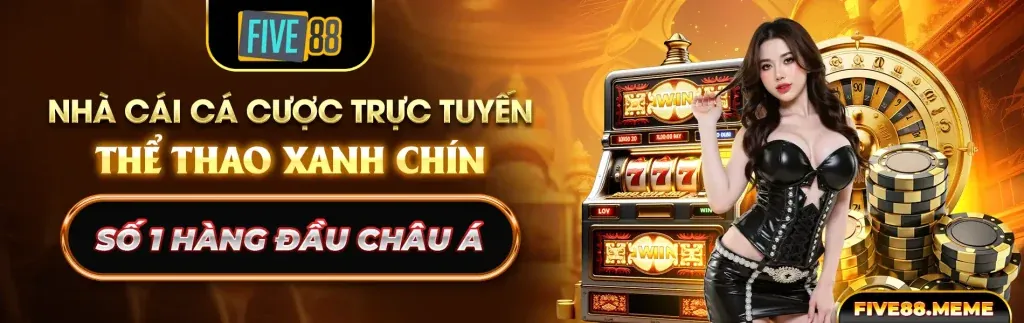 Đá Gà Trực Tuyến XIN88 Nhà Cái